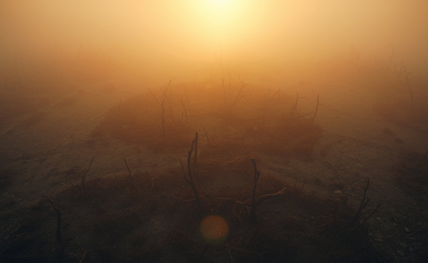 Dragged Into Sunlight